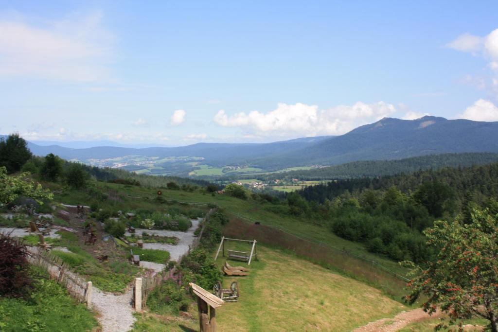 Berghotel Mooshutte Lohberg Exteriér fotografie