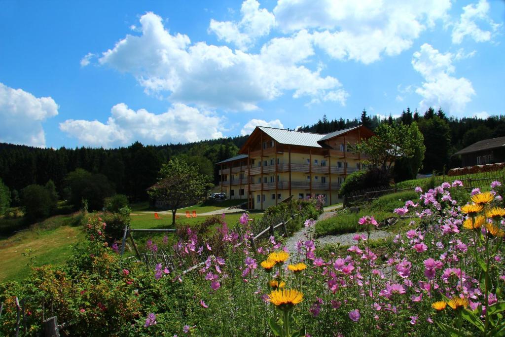 Berghotel Mooshutte Lohberg Exteriér fotografie